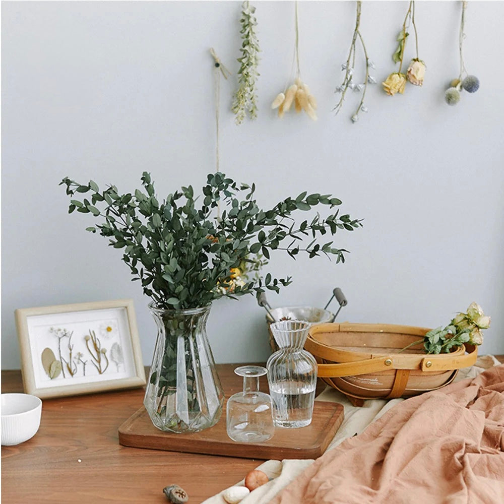 Bouquet de feuilles d'eucalyptus préservées
