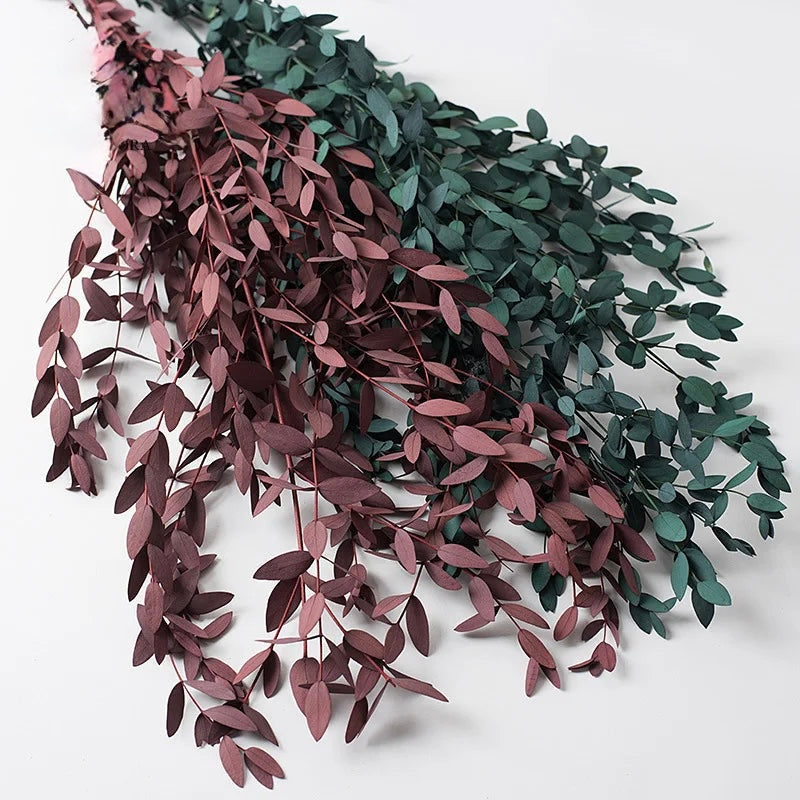 Bouquet de feuilles d'eucalyptus préservées