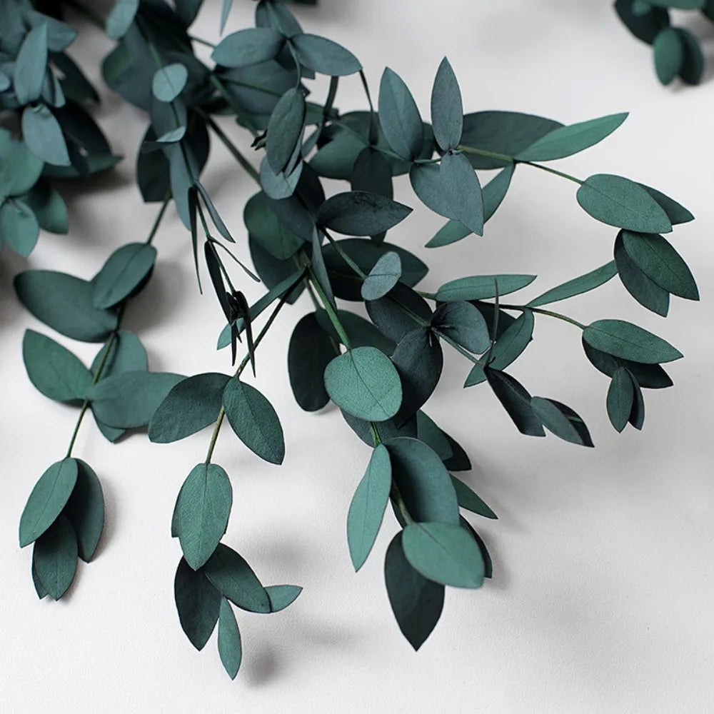 100g Eucalyptus Leaves Bouquet Natural Preserved Dried Flowers Green Plant Arrangement Wedding Room Home Decor Photography Props-ephera