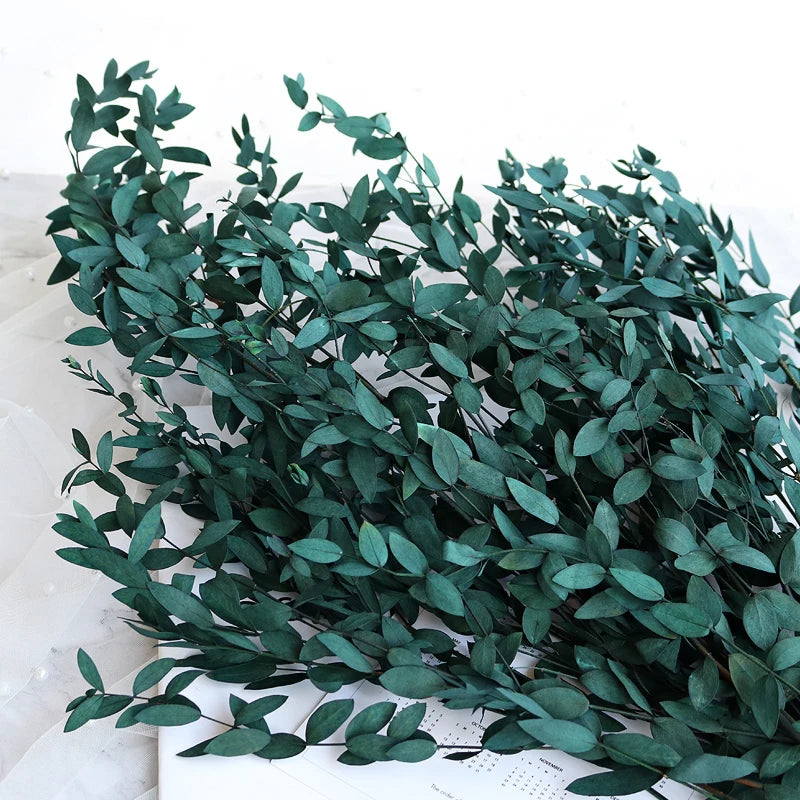 100g Eucalyptus Leaves Bouquet Natural Preserved Dried Flowers Green Plant Arrangement Wedding Room Home Decor Photography Props-Blue-ephera
