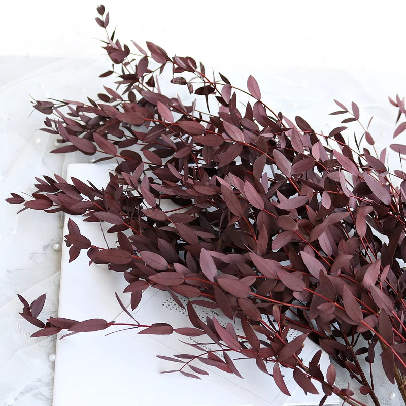 100g Eucalyptus Leaves Bouquet Natural Preserved Dried Flowers Green Plant Arrangement Wedding Room Home Decor Photography Props-Red-ephera